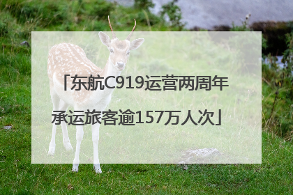 东航C919运营两周年承运旅客逾157万人次