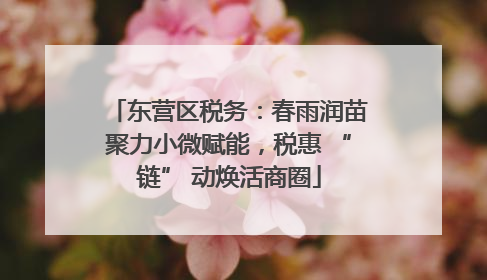 东营区税务：春雨润苗聚力小微赋能，税惠 “链” 动焕活商圈