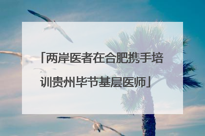 两岸医者在合肥携手培训贵州毕节基层医师