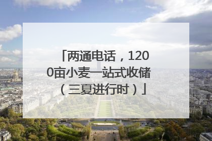 两通电话，1200亩小麦一站式收储（三夏进行时）