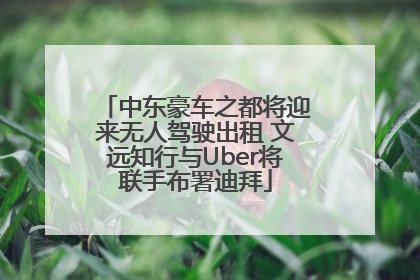 中东豪车之都将迎来无人驾驶出租 文远知行与Uber将联手布署迪拜