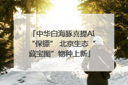 中华白海豚喜提AI“保镖” 北京生态“藏宝图”物种上新