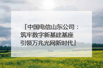 中国电信山东公司：筑牢数字新基建基座 引领万兆光网新时代