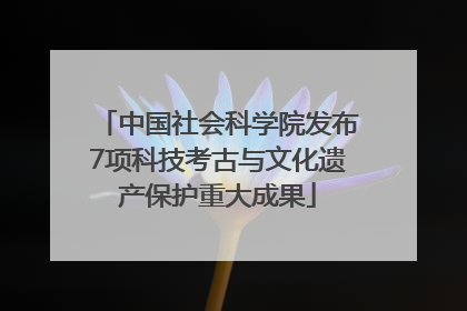 中国社会科学院发布7项科技考古与文化遗产保护重大成果