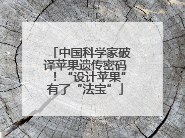 中国科学家破译苹果遗传密码！“设计苹果”有了“法宝”