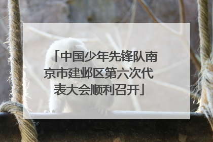 中国少年先锋队南京市建邺区第六次代表大会顺利召开