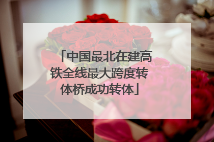 中国最北在建高铁全线最大跨度转体桥成功转体
