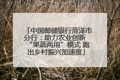 中国邮储银行菏泽市分行：助力农业创新 “果蔬两用”模式 跑出乡村振兴加速度