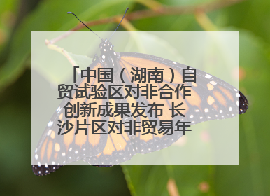 中国（湖南）自贸试验区对非合作创新成果发布 长沙片区对非贸易年均增长141%