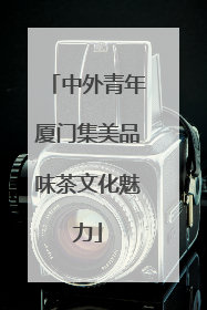 中外青年厦门集美品味茶文化魅力