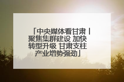 中央媒体看甘肃丨聚焦集群建设 加快转型升级 甘肃支柱产业增势强劲