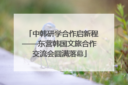 中韩研学合作启新程——东营韩国文旅合作交流会圆满落幕