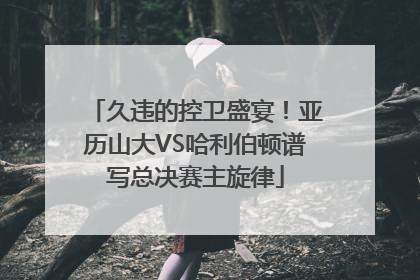 久违的控卫盛宴！亚历山大VS哈利伯顿谱写总决赛主旋律