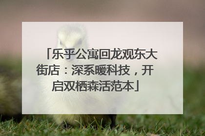 乐乎公寓回龙观东大街店：深系暖科技，开启双栖森活范本
