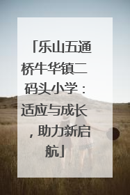乐山五通桥牛华镇二码头小学：适应与成长，助力新启航