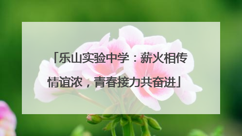 乐山实验中学：薪火相传情谊浓，青春接力共奋进
