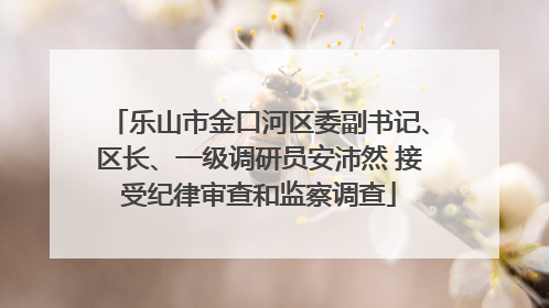 乐山市金口河区委副书记、区长、一级调研员安沛然 接受纪律审查和监察调查
