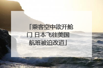 乘客空中欲开舱门 日本飞往美国航班被迫改道