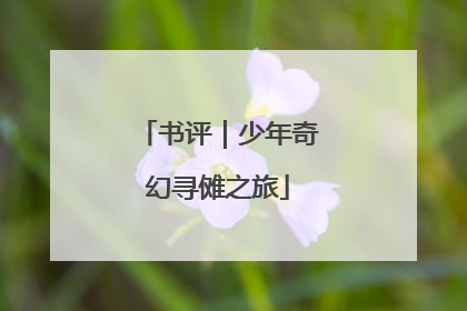 书评｜少年奇幻寻傩之旅