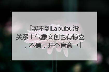 买不到Labubu没关系！气象文创也有惊喜，不信，开个盲盒→