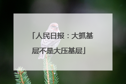 人民日报：大抓基层不是大压基层