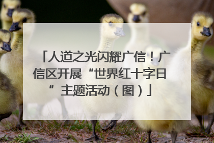 人道之光闪耀广信！广信区开展“世界红十字日”主题活动（图）
