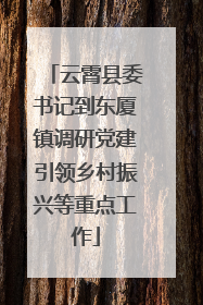 云霄县委书记到东厦镇调研党建引领乡村振兴等重点工作