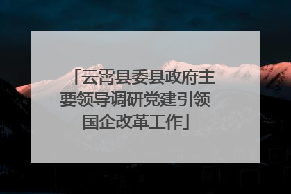 云霄县委县政府主要领导调研党建引领国企改革工作