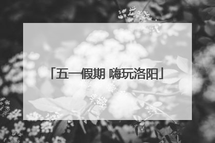 五一假期 嗨玩洛阳