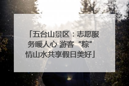 五台山景区：志愿服务暖人心 游客“粽”情山水共享假日美好