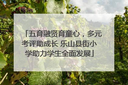 五育融贤育童心，多元考评助成长 乐山县街小学助力学生全面发展