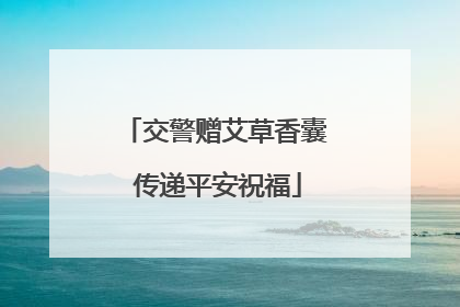 交警赠艾草香囊 传递平安祝福