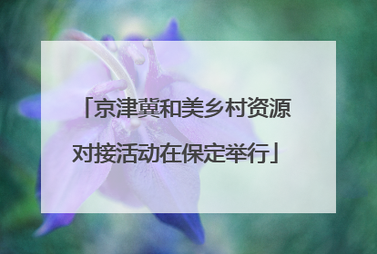 京津冀和美乡村资源对接活动在保定举行