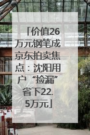 价值26万元钢笔成京东拍卖焦点：沈阳用户“捡漏”省下22.5万元