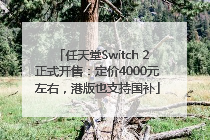 任天堂Switch 2正式开售：定价4000元左右，港版也支持国补