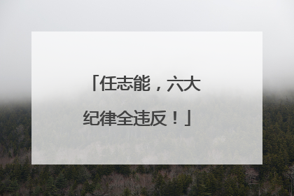 任志能，六大纪律全违反！