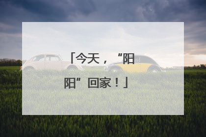 今天，“阳阳”回家！