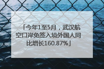 今年1至5月，武汉航空口岸免签入境外国人同比增长160.87%