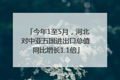今年1至5月，河北对中亚五国进出口总值同比增长1.1倍