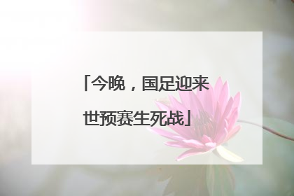 今晚，国足迎来世预赛生死战