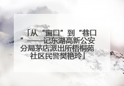 从“窗口”到“巷口”——记东湖高新公安分局茅店派出所梧桐苑社区民警樊艳玲