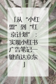从“小红盟”到“红京计划”：实现小红书广告笔记一键直达京东