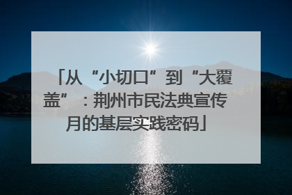 从“小切口”到“大覆盖”：荆州市民法典宣传月的基层实践密码
