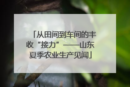 从田间到车间的丰收“接力”——山东夏季农业生产见闻