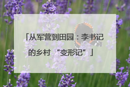 从军营到田园：李书记的乡村 “变形记”