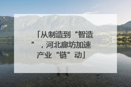 从制造到“智造”，河北廊坊加速产业“链”动