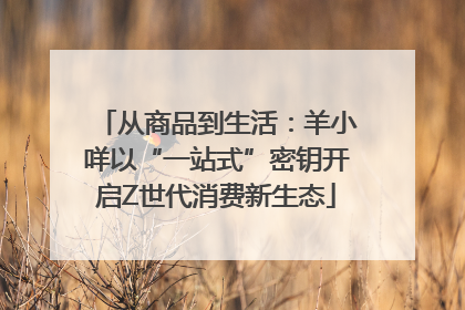 从商品到生活：羊小咩以“一站式”密钥开启Z世代消费新生态