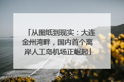 从图纸到现实：大连金州湾畔，国内首个离岸人工岛机场正崛起