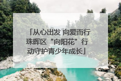 从心出发 向爱而行 珠晖区“向阳花”行动守护青少年成长