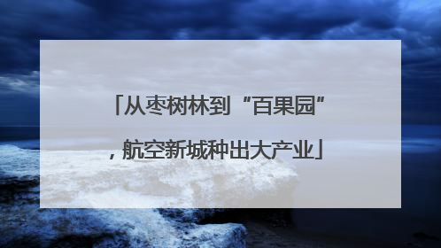 从枣树林到“百果园”，航空新城种出大产业